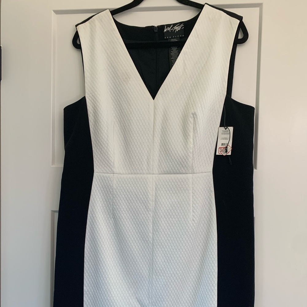Brand New l Ivory & Black Dress | Lord & Taylor